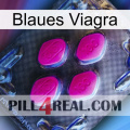 Blaue Viagra 02